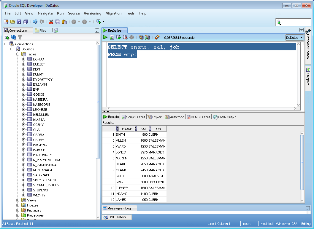 SQL Developer - okno robocze